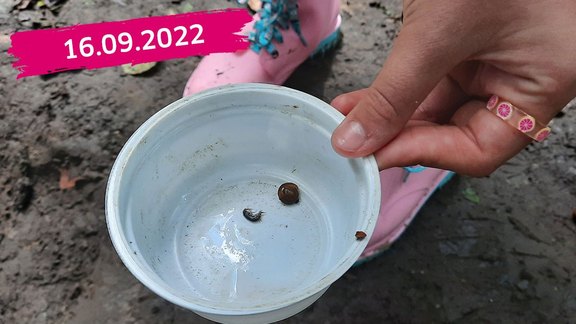 160922_für-die-Website.jpg  