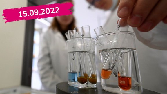 Tageszusammenfassung-Website_150922.jpg  